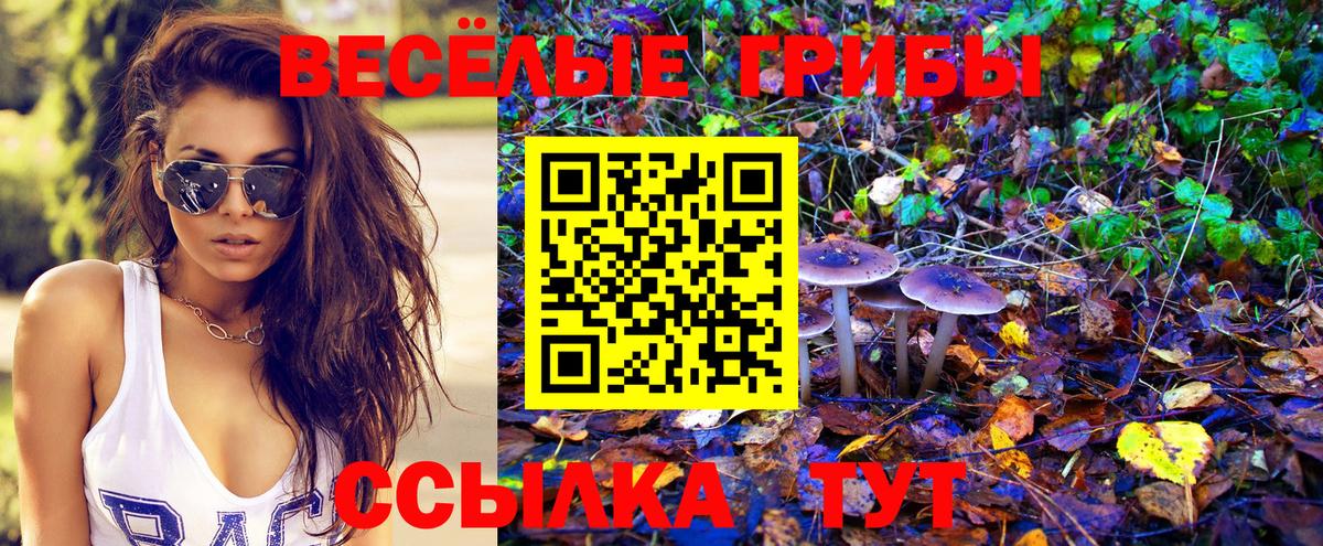 Дятьково  купить  сайты  Вход с VPN  Псилоцибиновые грибы GOLDEN TEACHER 